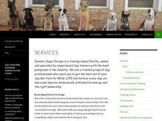 Dynamic Dogs Training & Behavior Chicago