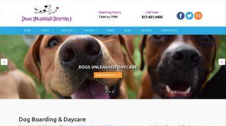 Dogs Unleashed Daycare Fort Worth